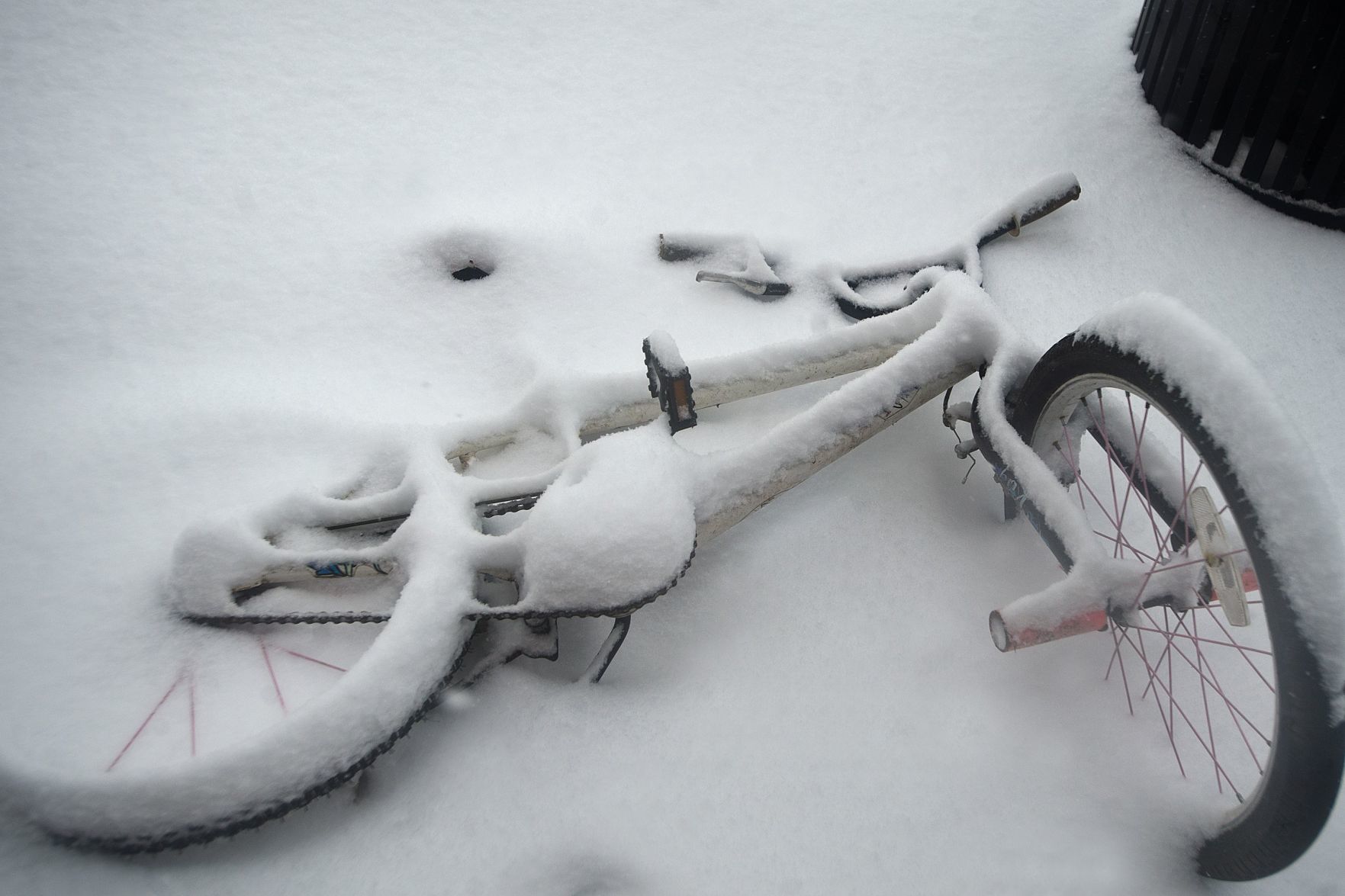 011319-blm-loc-20snow